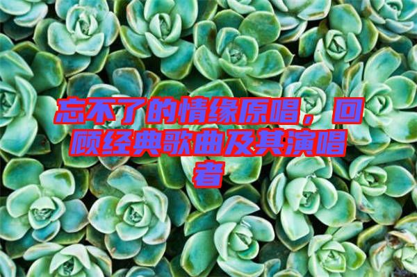 忘不了的情緣原唱，回顧經(jīng)典歌曲及其演唱者