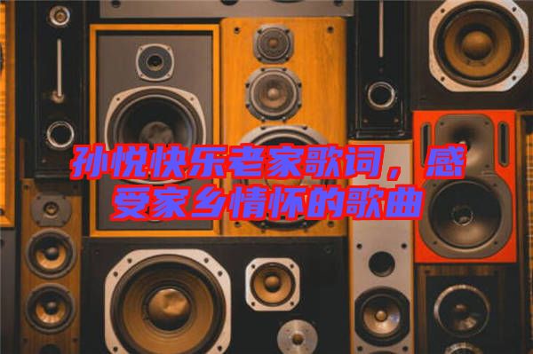 孫悅快樂(lè)老家歌詞，感受家鄉(xiāng)情懷的歌曲