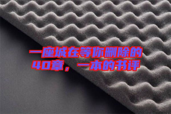 一座城在等你刪除的40章，一本的書評