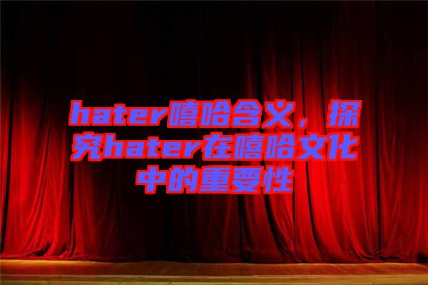 hater嘻哈含義，探究hater在嘻哈文化中的重要性