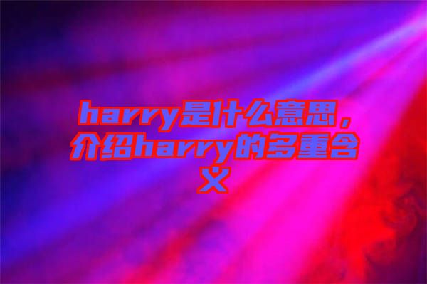 harry是什么意思，介紹harry的多重含義