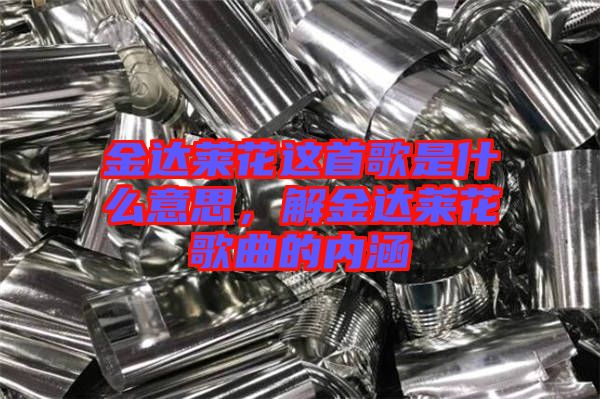 金達萊花這首歌是什么意思，解金達萊花歌曲的內(nèi)涵