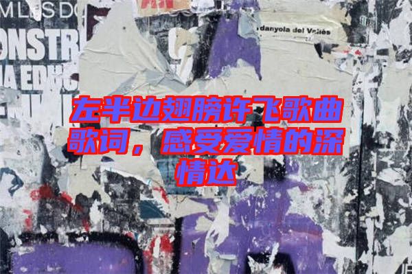 左半邊翅膀許飛歌曲歌詞，感受愛情的深情達(dá)
