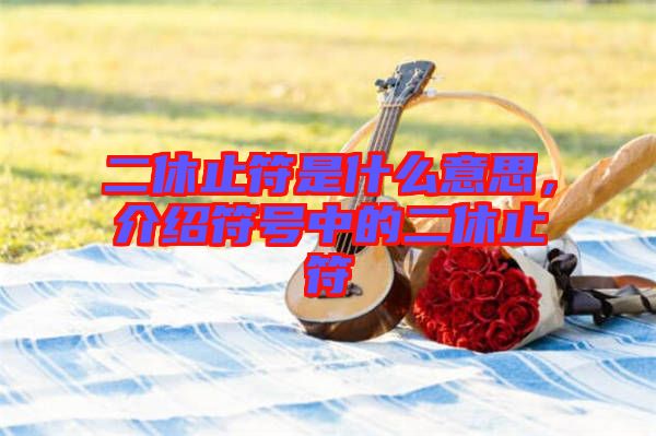二休止符是什么意思，介紹符號(hào)中的二休止符