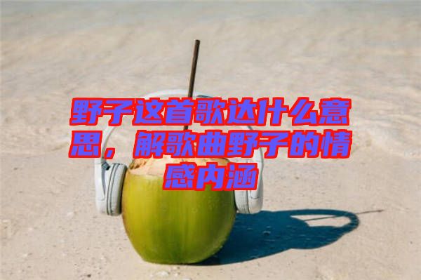 野子這首歌達(dá)什么意思，解歌曲野子的情感內(nèi)涵