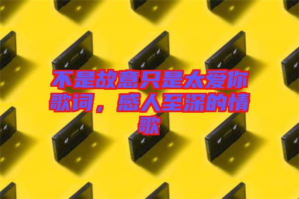 不是故意只是太愛你歌詞，感人至深的情歌