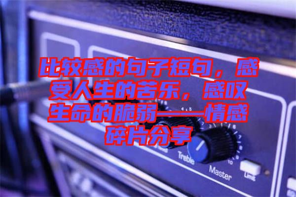 比較感的句子短句，感受人生的苦樂，感嘆生命的脆弱——情感碎片分享