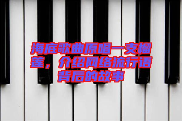 海底歌曲原唱一支榴蓮，介紹網(wǎng)絡(luò)流行語背后的故事