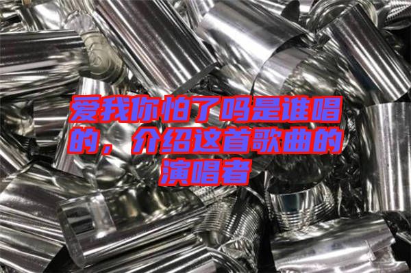 愛我你怕了嗎是誰唱的，介紹這首歌曲的演唱者
