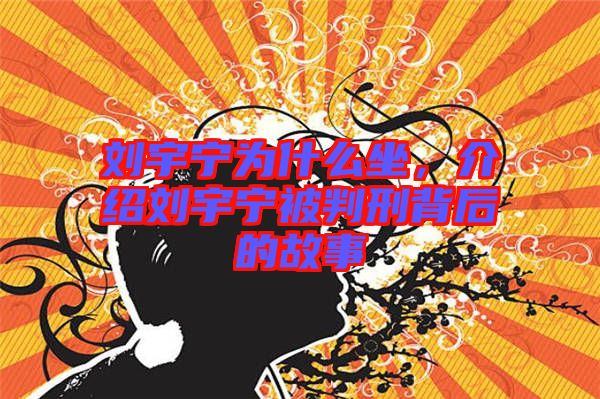 劉宇寧為什么坐，介紹劉宇寧被判刑背后的故事