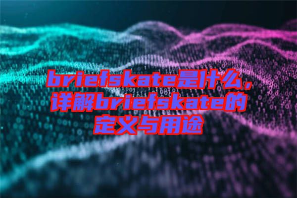 briefskate是什么，詳解briefskate的定義與用途