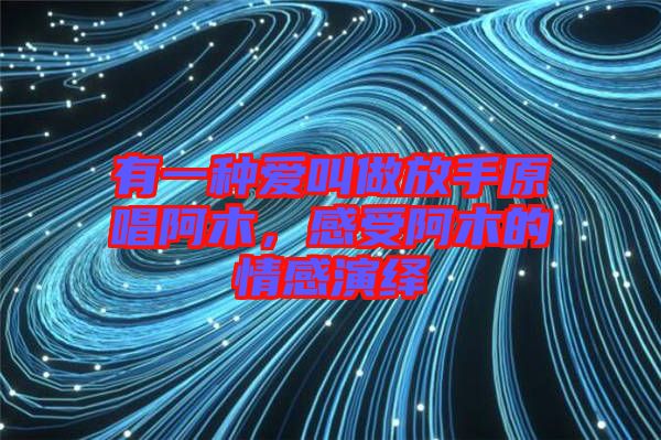 有一種愛叫做放手原唱阿木，感受阿木的情感演繹