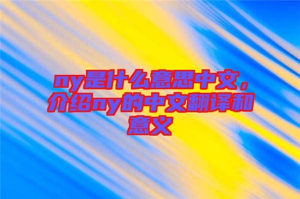 ny是什么意思中文，介紹ny的中文翻譯和意義