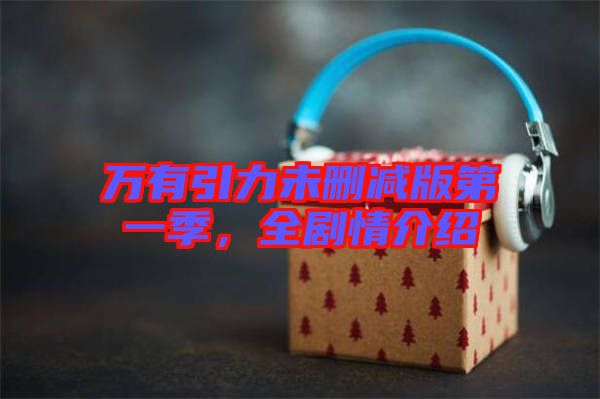 萬有引力未刪減版第一季，全劇情介紹