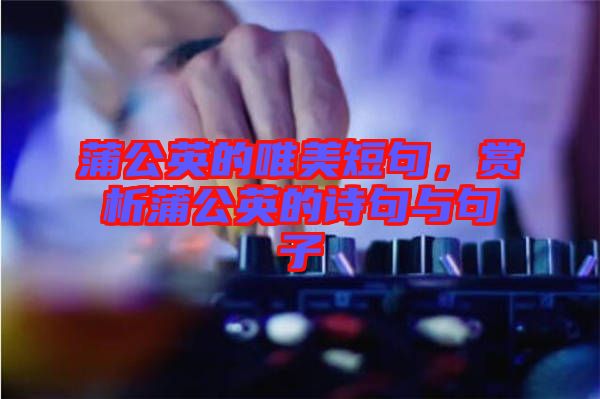 蒲公英的唯美短句，賞析蒲公英的詩句與句子