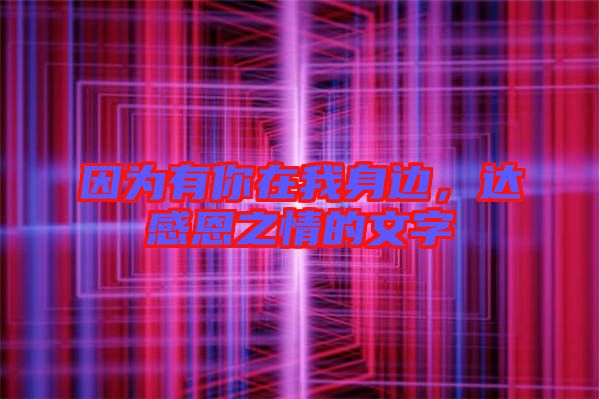 因?yàn)橛心阍谖疑磉?，達(dá)感恩之情的文字