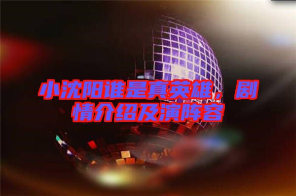 小沈陽誰是真英雄，劇情介紹及演陣容