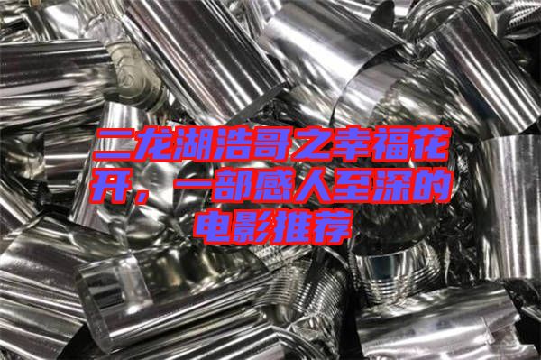 二龍湖浩哥之幸福花開(kāi)，一部感人至深的電影推薦
