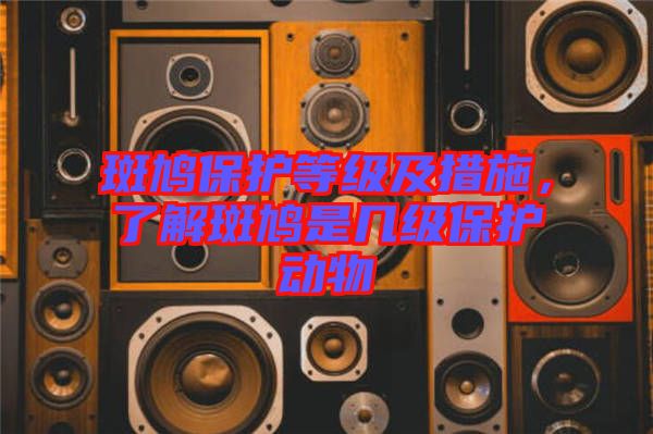 斑鳩保護等級及措施，了解斑鳩是幾級保護動物