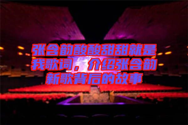 張含韻酸酸甜甜就是我歌詞，介紹張含韻新歌背后的故事