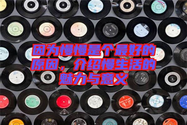 因?yàn)槁莻€(gè)最好的原因，介紹慢生活的魅力與意義