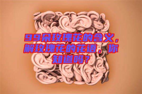 99朵玫瑰花的含義，解玫瑰花的花語，你知道嗎？