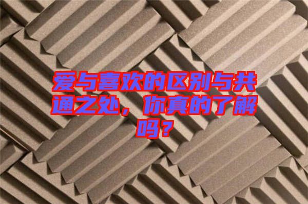 愛與喜歡的區(qū)別與共通之處，你真的了解嗎？