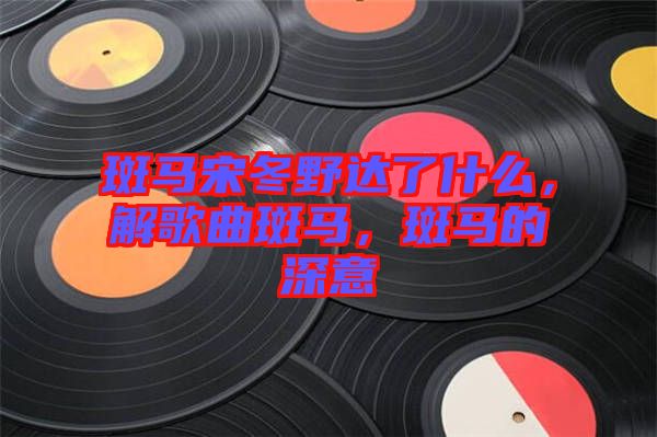 斑馬宋冬野達(dá)了什么，解歌曲斑馬，斑馬的深意