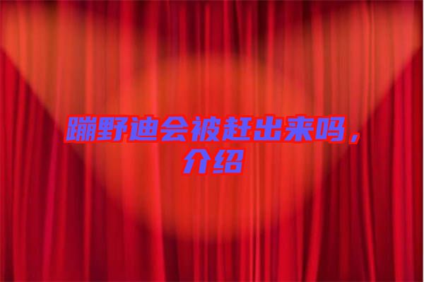 蹦野迪會被趕出來嗎，介紹