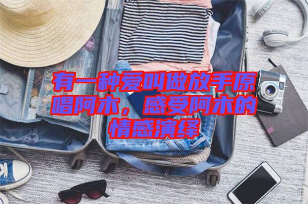 有一種愛(ài)叫做放手原唱阿木，感受阿木的情感演繹