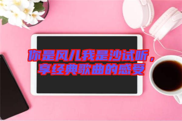 你是風(fēng)兒我是沙試聽，享經(jīng)典歌曲的感受
