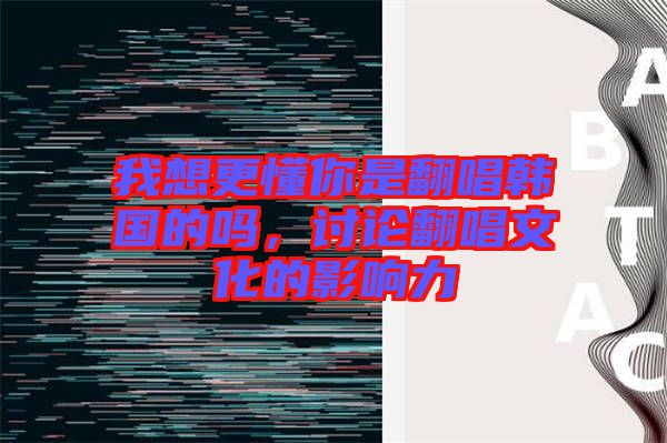 我想更懂你是翻唱韓國的嗎，討論翻唱文化的影響力
