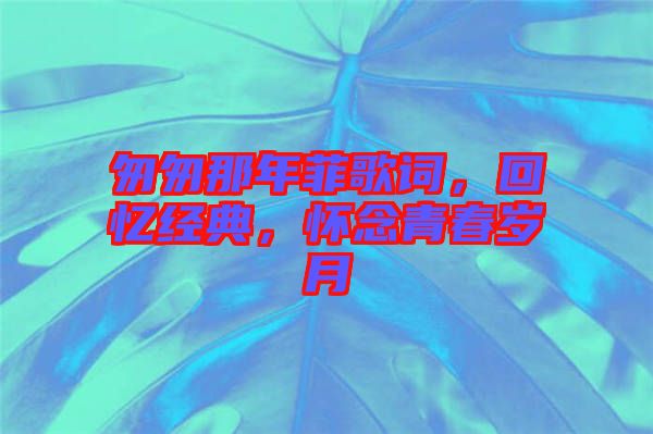 匆匆那年菲歌詞，回憶經(jīng)典，懷念青春歲月