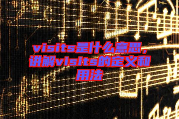 visits是什么意思，講解visits的定義和用法