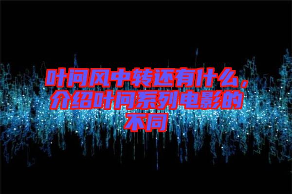 葉問風(fēng)中轉(zhuǎn)還有什么，介紹葉問系列電影的不同