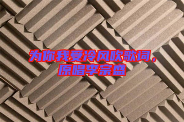 為你我受冷風吹歌詞，原唱李宗盛
