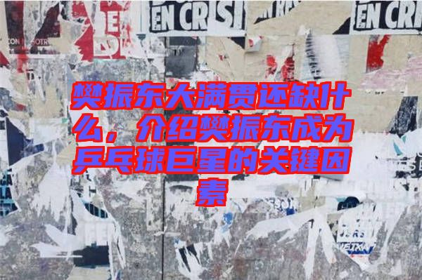 樊振東大滿貫還缺什么，介紹樊振東成為乒乓球巨星的關(guān)鍵因素