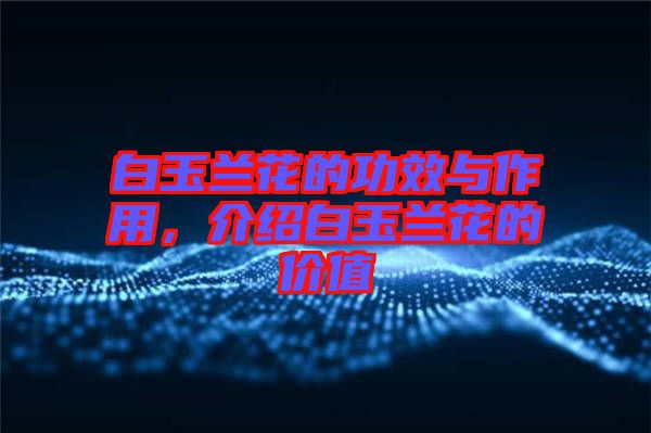 白玉蘭花的功效與作用，介紹白玉蘭花的價值