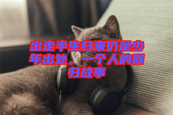 出走半生歸來(lái)仍是少年出處，一個(gè)人的回歸故事
