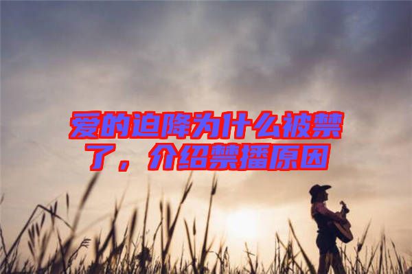 愛的迫降為什么被禁了，介紹禁播原因
