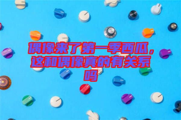 偶像來(lái)了第一季西瓜，這和偶像真的有關(guān)系嗎