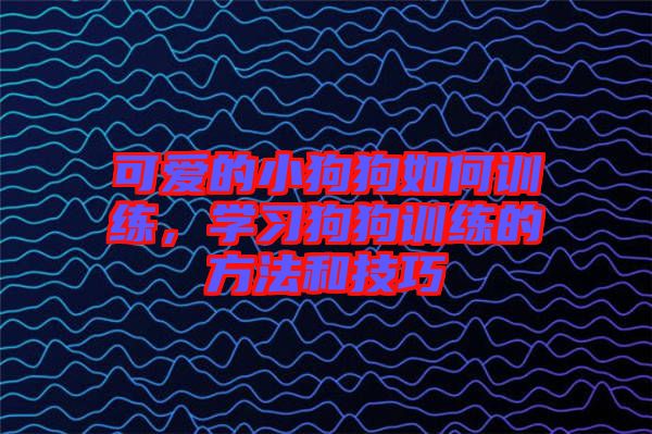 可愛的小狗狗如何訓(xùn)練，學(xué)習(xí)狗狗訓(xùn)練的方法和技巧