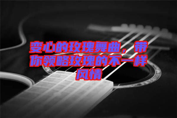 變心的玫瑰舞曲，帶你領(lǐng)略玫瑰的不一樣風(fēng)情