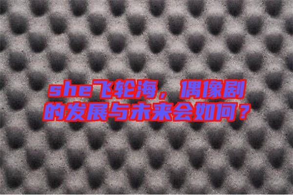 she飛輪海，偶像劇的發(fā)展與未來(lái)會(huì)如何？
