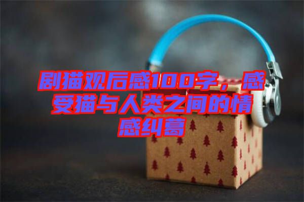 劇貓觀后感100字，感受貓與人類之間的情感糾葛