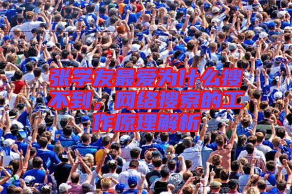 張學(xué)友最愛為什么搜不到，網(wǎng)絡(luò)搜索的工作原理解析