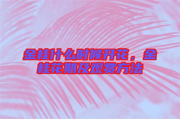 金桂什么時(shí)候開花，金桂花期及觀賞方法