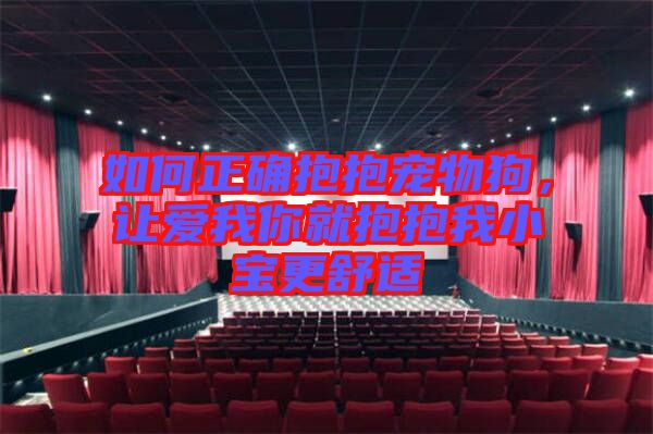 如何正確抱抱寵物狗，讓愛我你就抱抱我小寶更舒適