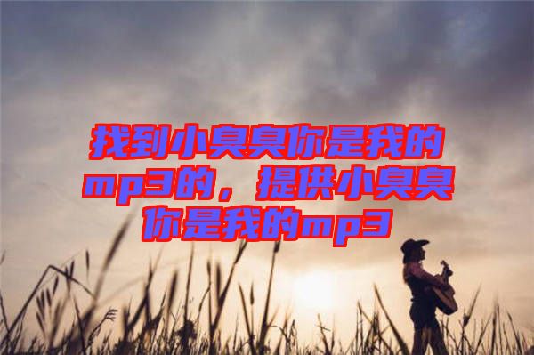 找到小臭臭你是我的mp3的，提供小臭臭你是我的mp3