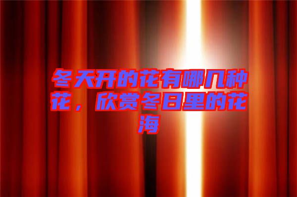 冬天開的花有哪幾種花，欣賞冬日里的花海